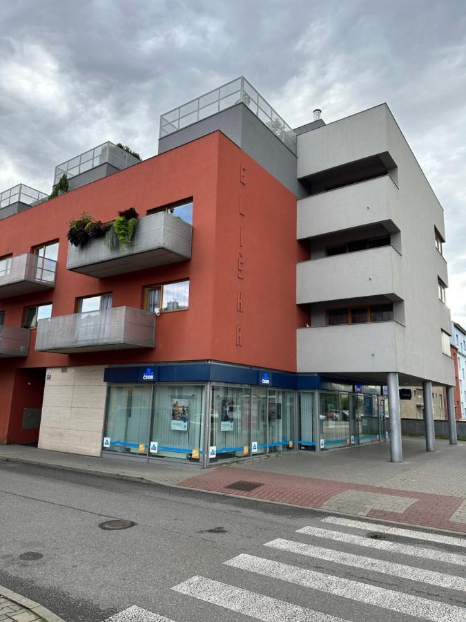 Apartments Spacilova Nearly Center Komarov Zewnętrze zdjęcie